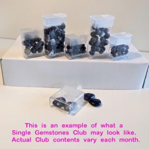 Single Gemstone Beads of the Month Club